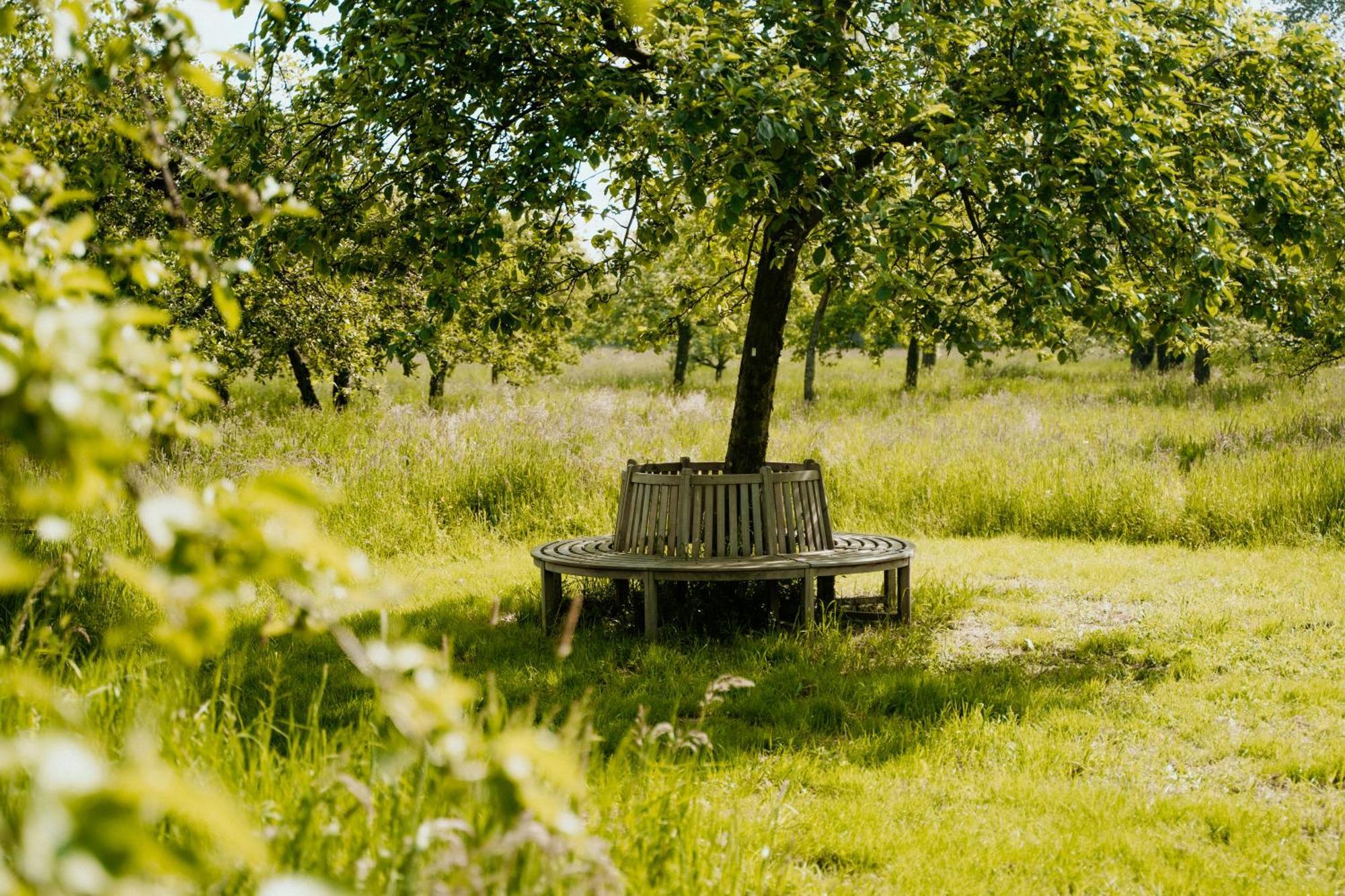 Cottage Landgoed Frymerson Sint Odiliënberg Екстериор снимка