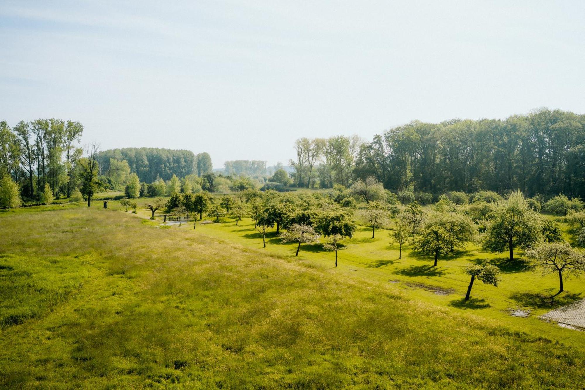 Cottage Landgoed Frymerson Sint Odiliënberg Екстериор снимка