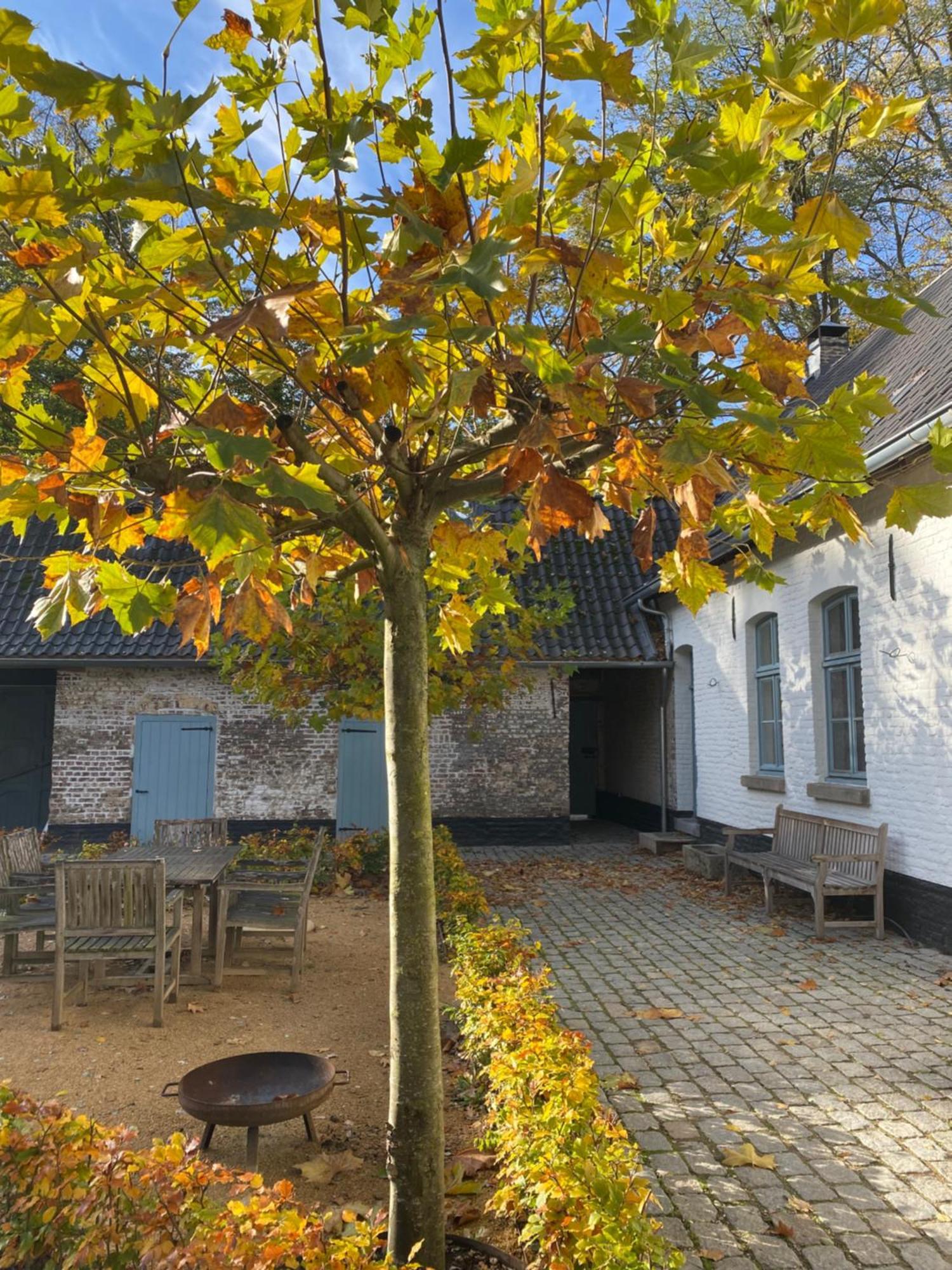 Cottage Landgoed Frymerson Sint Odiliënberg Екстериор снимка